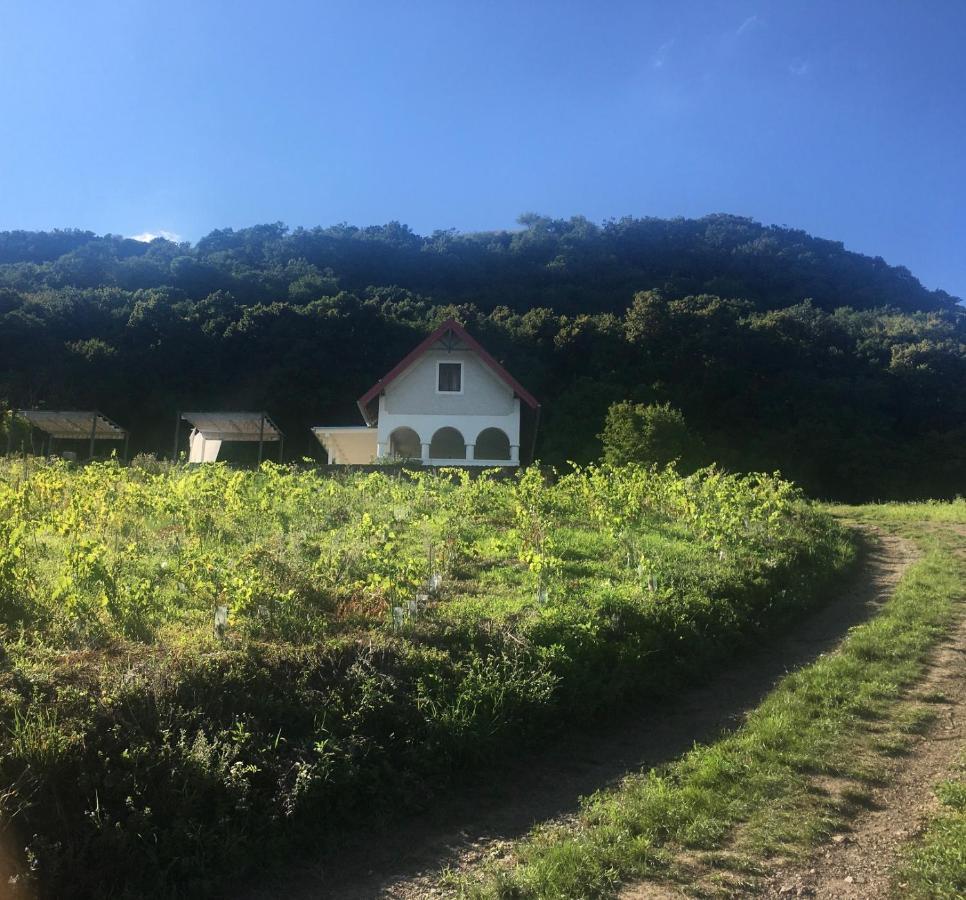 Chateau Segesdi Borapartman Gyulakeszi Zewnętrze zdjęcie